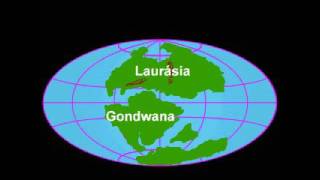 DERIVA DOS CONTINENTES  PANGEA  THE CONTINENTS DERIVE  PANGEA Video translated into English [upl. by Ulick88]