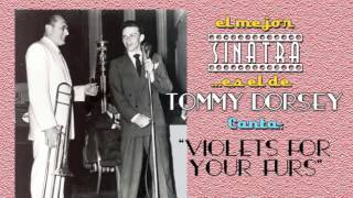 Frank Sinatra con Tommy Dorsey canta VIOLETS FOR YOUR FURS [upl. by Iroc98]