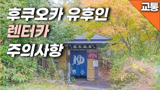 유후인 온천 여행 렌터카 이용은 이런 점을 주의하세요 [upl. by Ednihek]