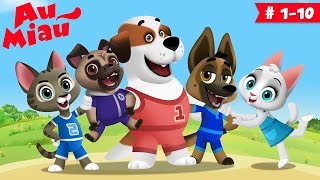 Au Miau 🐶 Desenhos animados em Português  60 minutos [upl. by Ztnarf]