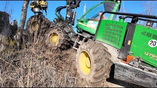 Käferholz fällen 🇨🇭 mit Vollernter John Deere 1270D und Kettensägen Power [upl. by Rafaello]