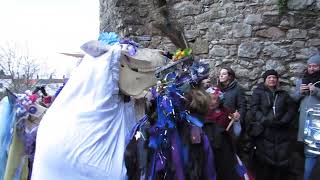 Chepstow Mari Lwyd and Wassail 20th January 2024 [upl. by Lennaj]