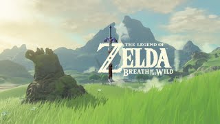 ZELDA BREATH OF THE WILD  Eu Joguei MUITO Zelda Wii U Gameplay [upl. by Jac]