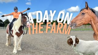 A Day In My Life  Farm Vlog [upl. by Musihc]