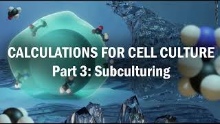 Calculations for Cell Culture Part 3 Subculturing [upl. by Michaud240]