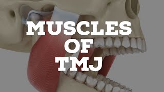 Muscles of temporomandibular joint [upl. by Aihsined]