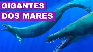 MAIORES ANIMAIS MARINHOS [upl. by Sainana]