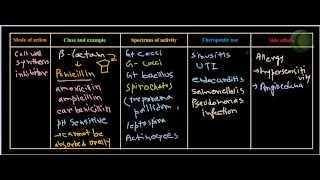 Penicillin antibiotics [upl. by Ellimak]