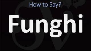 How to Pronounce Funghi CORRECTLY [upl. by Omland]