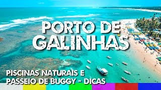 O que fazer em Porto de Galinhas Dicas para as Piscinas Naturais e Passeio de Buggy [upl. by Treacy100]