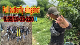 Full butterfly slingshot amazing hunting birds 0551913220🦋rt birdhunting youtuber slingshot [upl. by Oberg499]