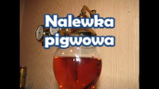 Nalewka pigwowa  na zdrowie  Kwestia Samku [upl. by Eerdna]