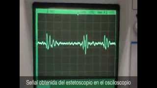 Estetoscopio electrónico Electronic stethoscope [upl. by Mathian]