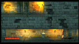 Prince of Persia 1 Extras PC DOS [upl. by Eet902]