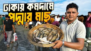 ঢাকার মৈনট ঘাট থেকে কমদামে পদ্মার তাজা মাছ কিনবেন যেভাবে । Dhaka Monoit Ghat [upl. by Chubb421]