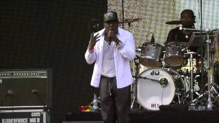 Barrington Levy  Here I Come live from Roskilde Festival 2015 [upl. by Enela]