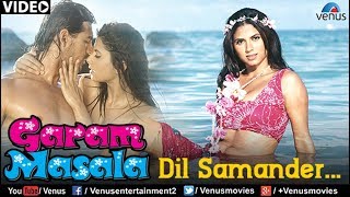 Dil Samander Full Video Song  Garam Masala  Akshay Kumar John Abraham [upl. by Ikcim]