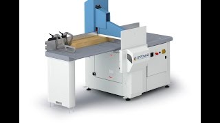 Stromab TR601 Crosscut Saw  ScottSargeant Woodworking Machinery [upl. by Hortensia]