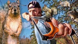 Hunting With a Slingshot CONTAINS HUNTING FOOTAGE  Catch Clean Cook [upl. by Morel]