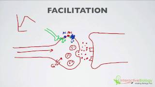 020 Facilitation [upl. by Eenet]