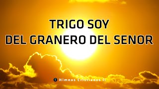 Mix 10  TRIGO SOY DEL GRANERO DEL SEÑOR  Los mejores Himnos y Cánticos Favoritos Internacionales [upl. by Eciruam]