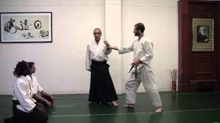 Aikido in Three Easy Lessons in 11 minutes [upl. by Rumit732]