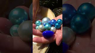 A blue egg was found in the clam [upl. by Stevana604]