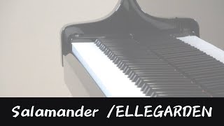 【ELLEGARDEN】Salamander ピアノ 弾いてみた [upl. by Varipapa]