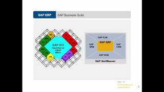 Video 3 Introduction to the SAP [upl. by Ivonne]