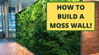 How to Make a Moss Wall  Use PreMade Moss Panels [upl. by Roid]