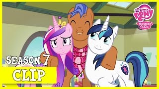 Shining and Cadances Day Off A Flurry of Emotions  MLP FiM HD [upl. by Htebsil]