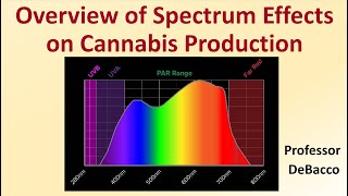 Does far red trigger cannabis plant to flower [upl. by Ahsuatal119]