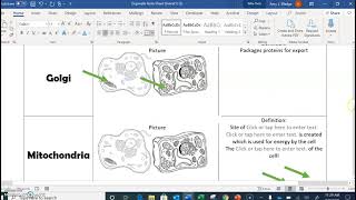 Organelles Lecture pt 1 [upl. by Salim739]