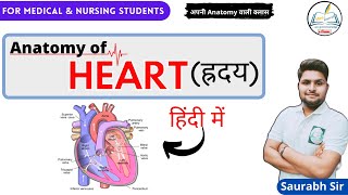 Heart  Valves  Chambers  Cardiovascular system Hindi  For NEET Medical Nursing Students [upl. by Zenitram38]