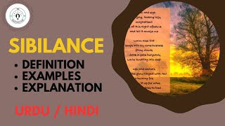 What is Sibilance Poetic Device Explain in Hindi  Urdu [upl. by Leakim]