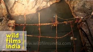 Surya Kund or hot water spring at Yamunotri  Uttarakhand [upl. by Yrred]