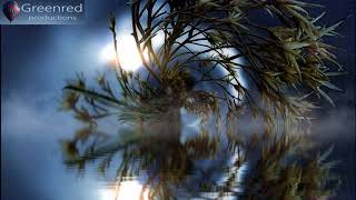 Deep Sleep Music Insomnia Music 34 Hz Delta Waves Binaural Beats Sleeping Music [upl. by Dario]