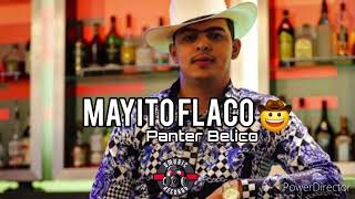 MAYITO FLACO  PANTER BELICO  2024 [upl. by Mencher728]