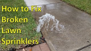 How to Fix Broken Sprinkler Heads [upl. by Adian]