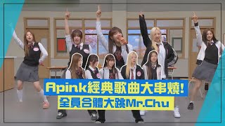 【Apink】經典歌曲大串燒全員合體大跳MrChu [upl. by Iegres]