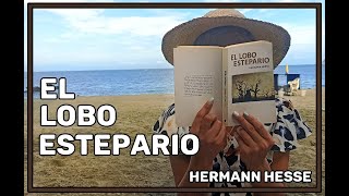 El lobo estepario  Hermann Hesse  resumen y análisis [upl. by Gannie425]