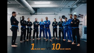 1 Black Belt vs 10 Blue Belts [upl. by Belinda]