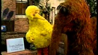 Sesame Street  Big Bird amp Snuffy Mail a Letter [upl. by Grose915]