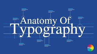 Anatomy of typography  part 1 Anatomy of typeface Cấu tạo chữ  Cấu tạo letterform [upl. by Elohcin372]