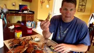 How To Eat Crabs  Best Way To Eat Maryland Blue Crab [upl. by Aimee]