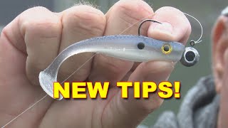 Master Fall Bass Fishing with Soft Swimbaits Expert Tips  Bass Fishing [upl. by Naesar]