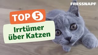 Top 5 Irrtümer über Katzen [upl. by Rhpotsirhc]