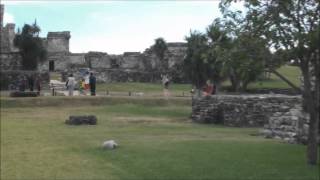 Tulum Quintana Roowmv [upl. by Jeaz]