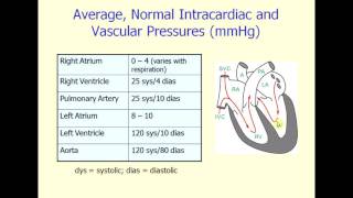 Normal Intracardiac Pressure [upl. by Siroled]