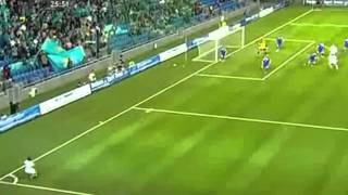 Goal of the Year 20102011  Hamit Altintop HD [upl. by Foster]